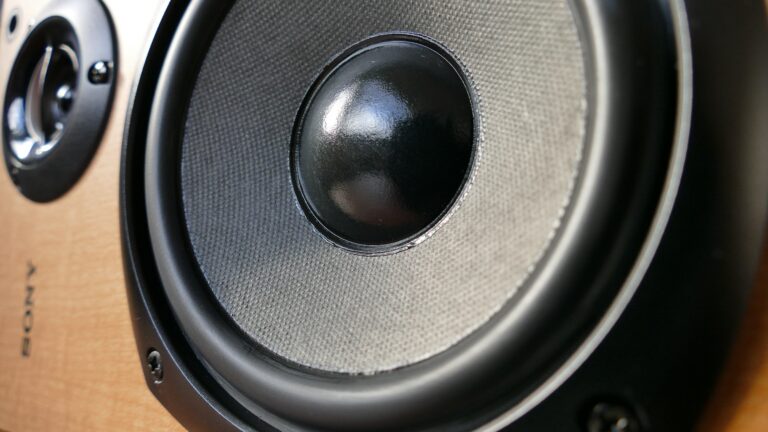 Shallow Mount Subwoofer Vs Regular (Which Is Best?)