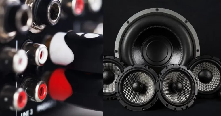 Why Subwoofer Has Two Inputs? [8 REASONS]